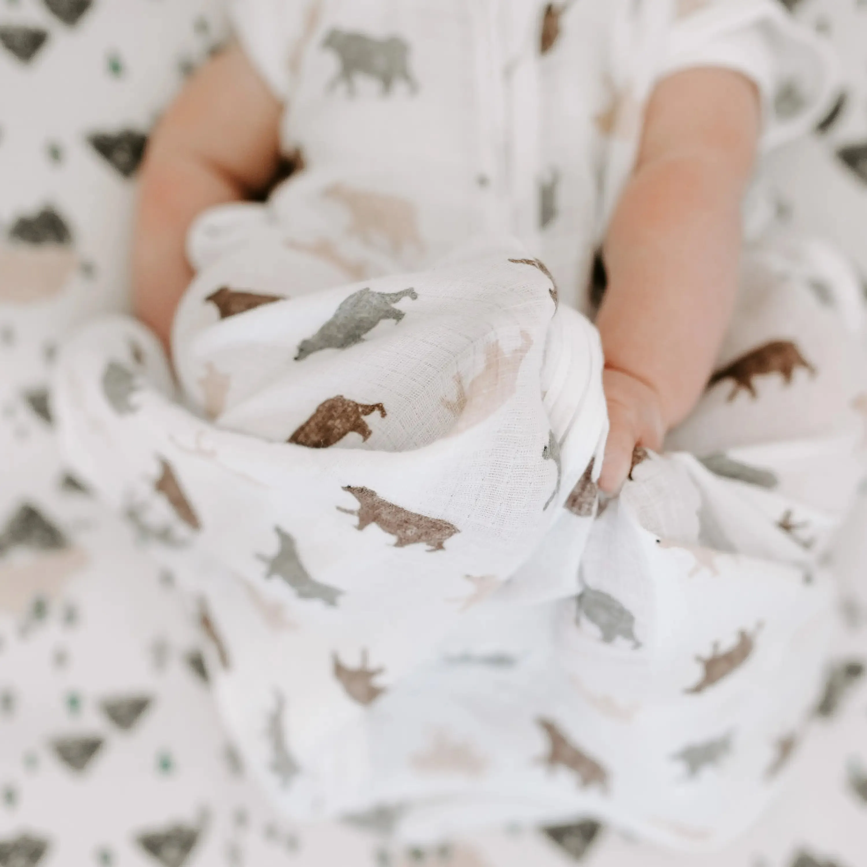 aden   anais Muslin Fitted Crib Sheet