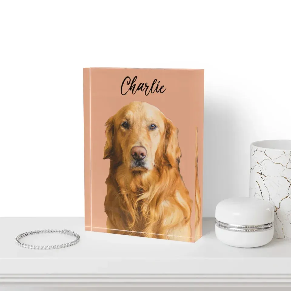Custom Acrylic Photo Block