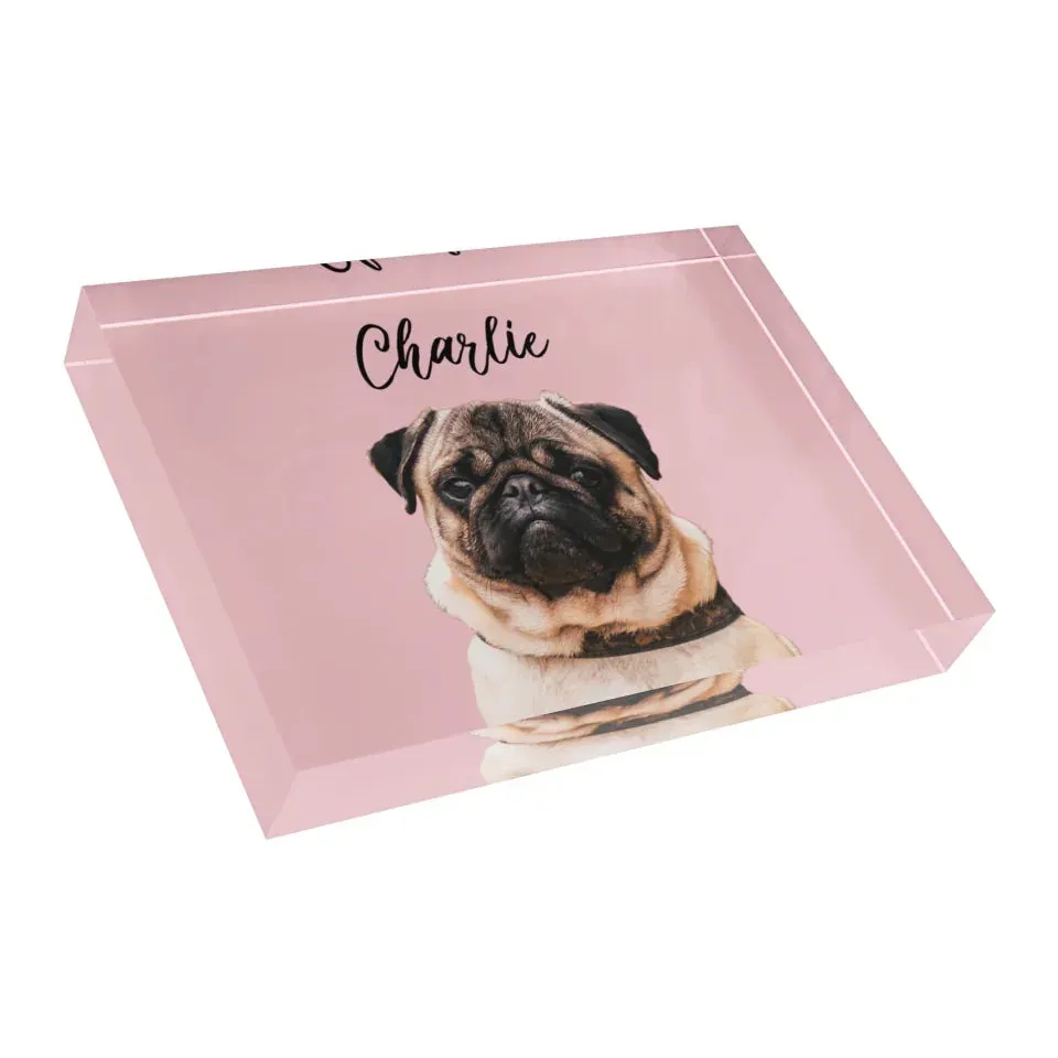 Custom Acrylic Photo Block