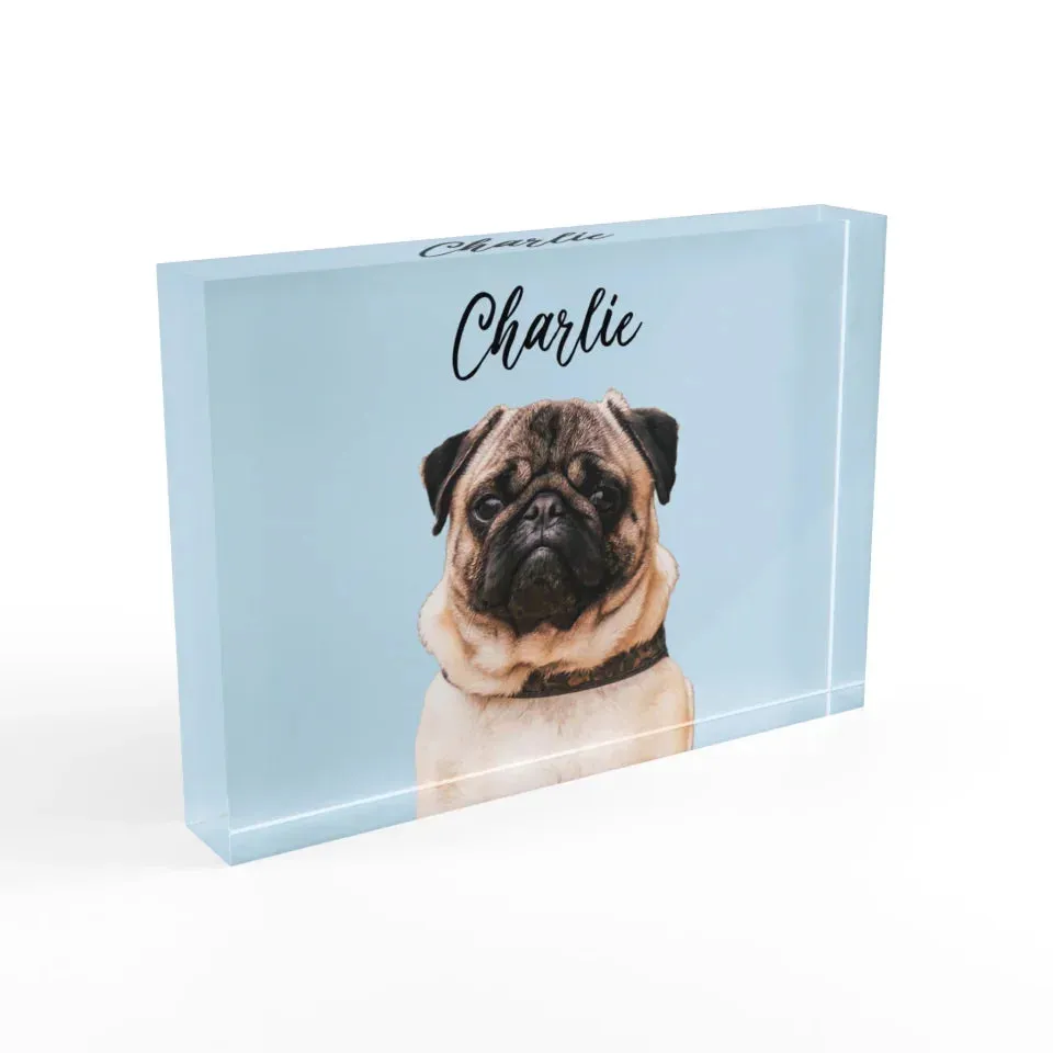 Custom Acrylic Photo Block