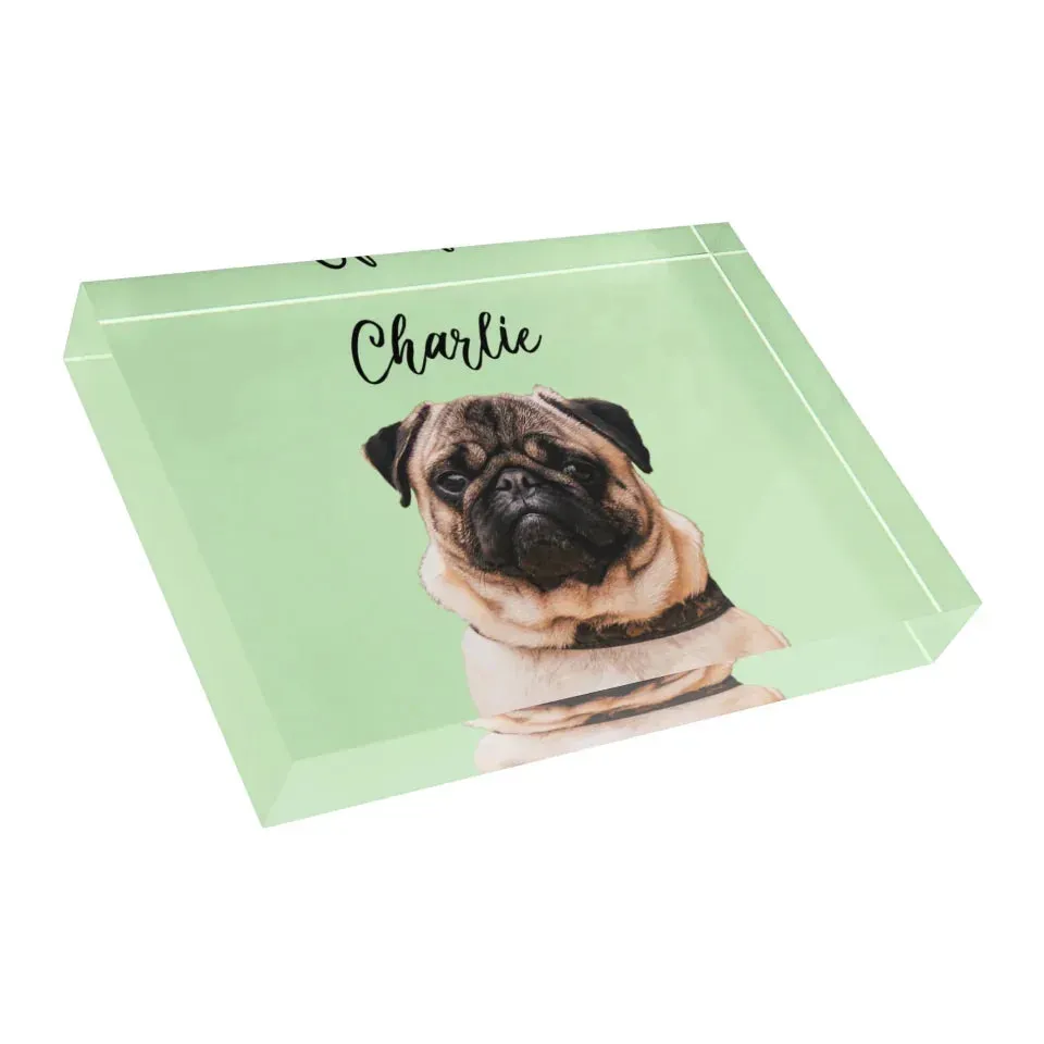 Custom Acrylic Photo Block