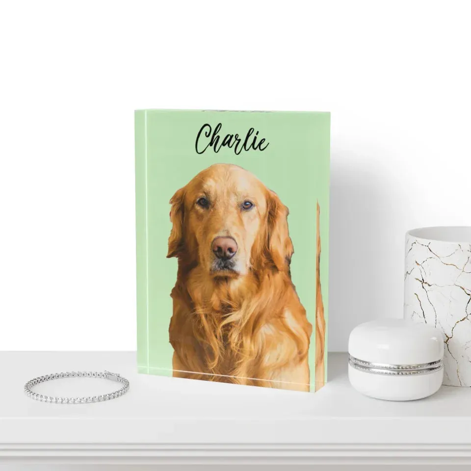 Custom Acrylic Photo Block