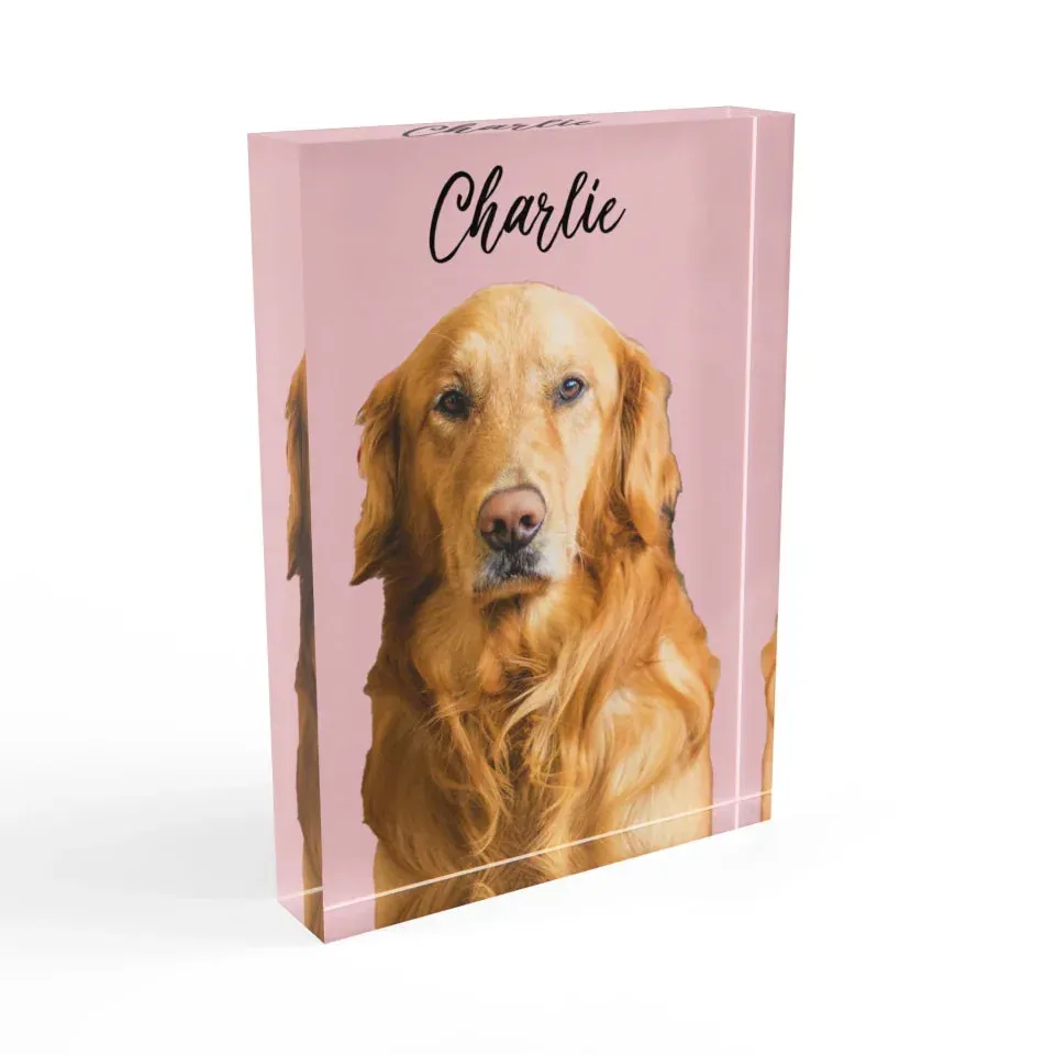 Custom Acrylic Photo Block
