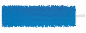 Loop Velcro Pad Blue 10/25 10" for Cleano (pack of 6)