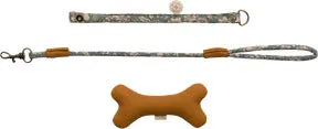 Maileg Puppy Dog Accessories in Blue Tin