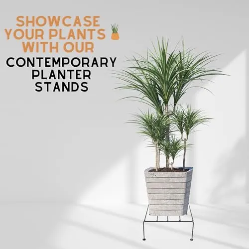 NAYRA® 's Metal Planter Stands Black Color Modern and Durable Square Shape Planter Stand /Planter Holder for Indoor and Outdoor (Set of 12 Stands)
