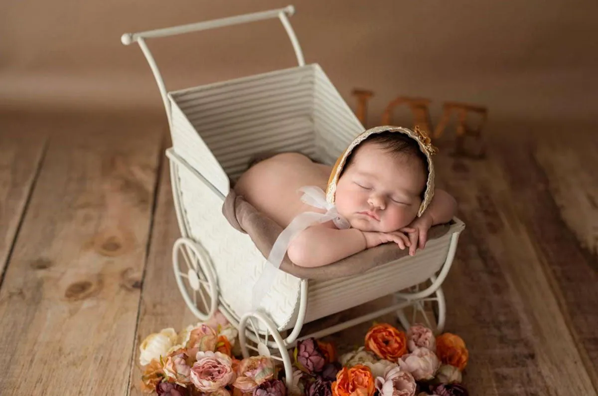 Vintage Stroller - White Model 1
