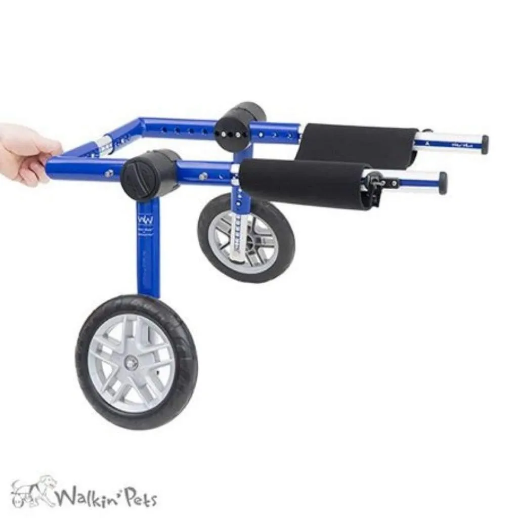 Walkin’ Belly Support