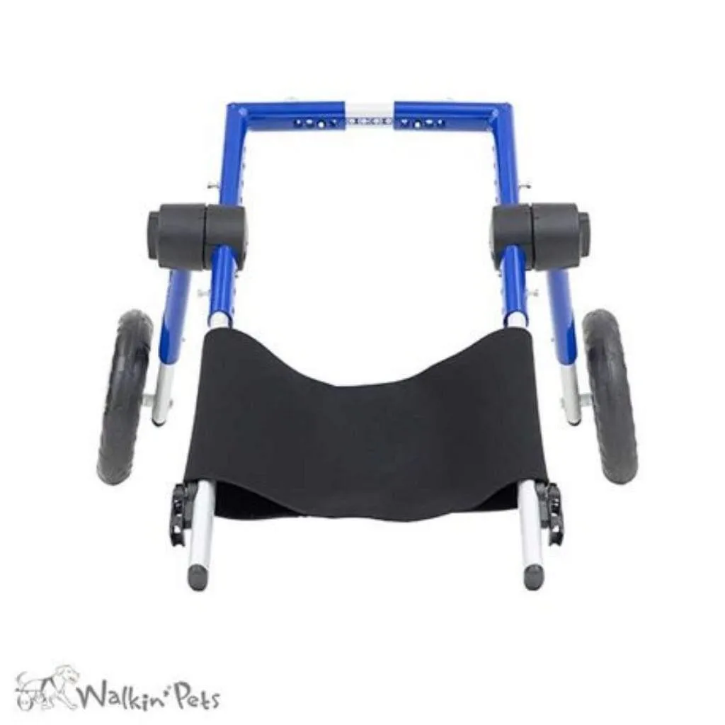 Walkin’ Belly Support