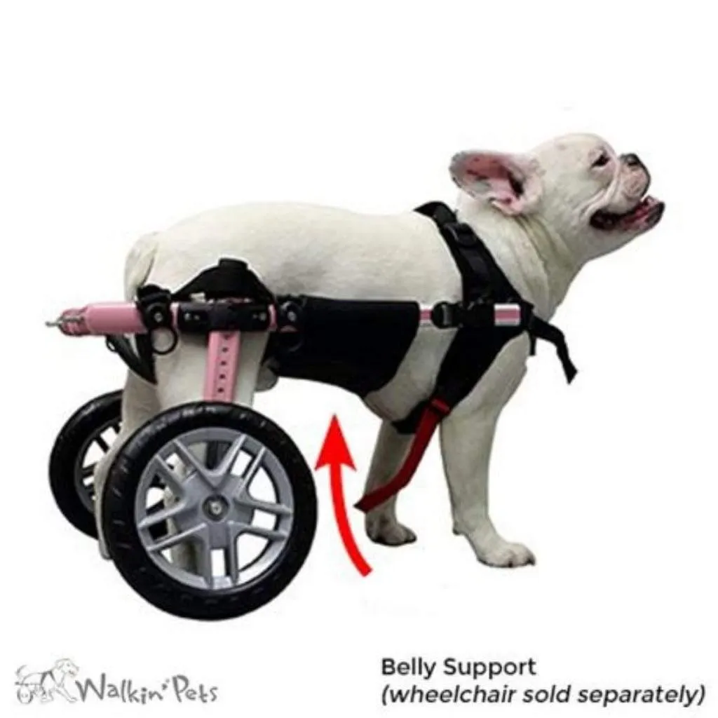 Walkin’ Belly Support