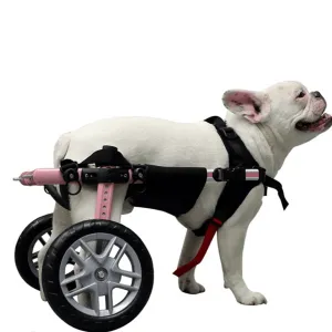 Walkin’ Belly Support