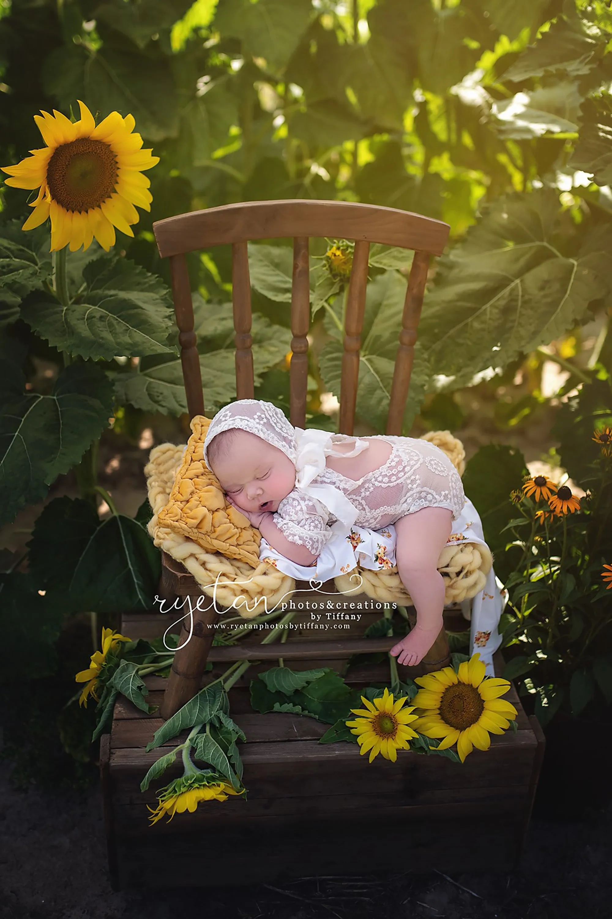 Wooden Windsor Chair - Brown